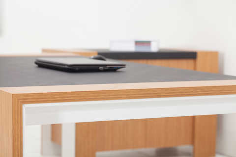 Monev Executive Desk 04