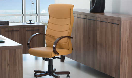 Efes Executive Desk 07