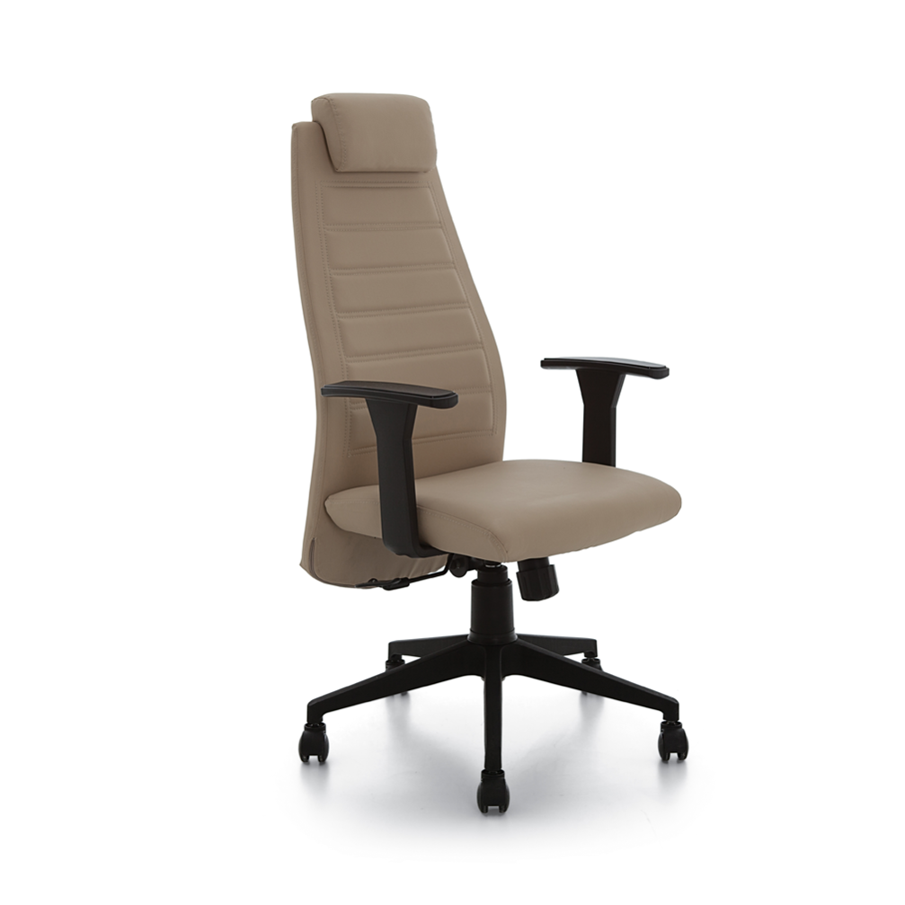 Zone 101 Executive Office Chair
