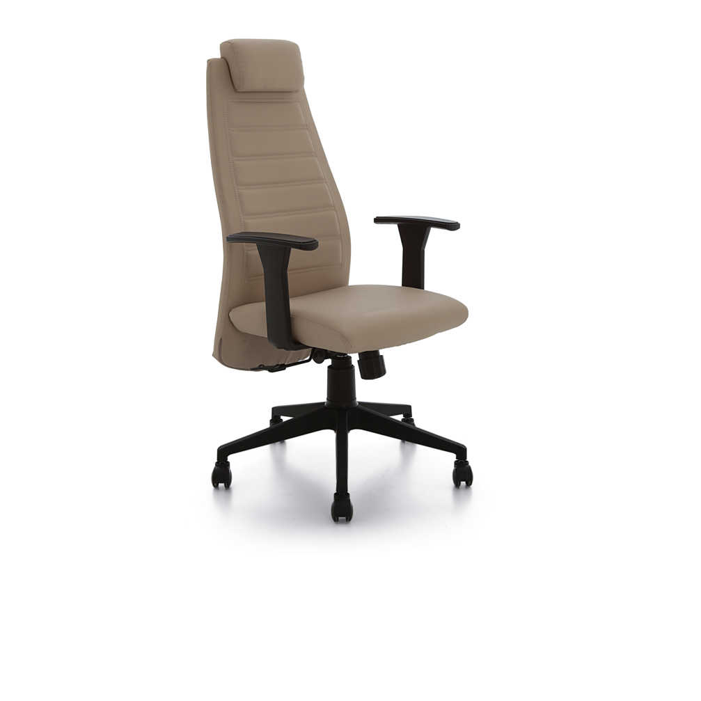 Zone 101 Executive Office Chair