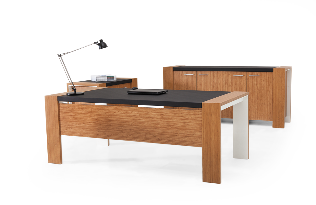 Monev Executive Office Desk 00