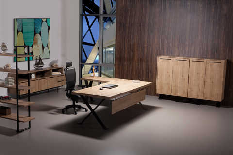 T Rex Executive Desk 04