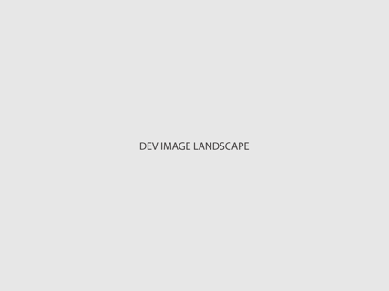 Dev Landscape