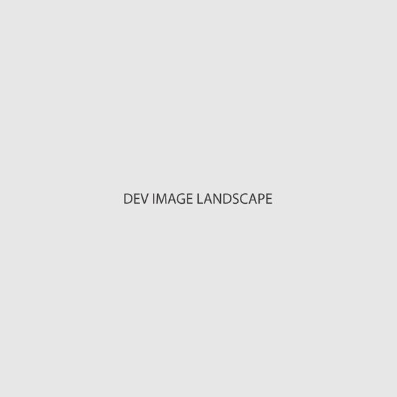 Dev Landscape