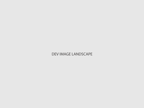 Dev Landscape