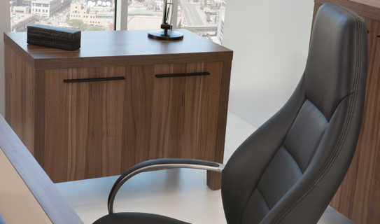 Efes Executive Desk 08