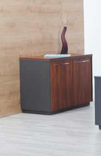 Nepal Executive Desk 07