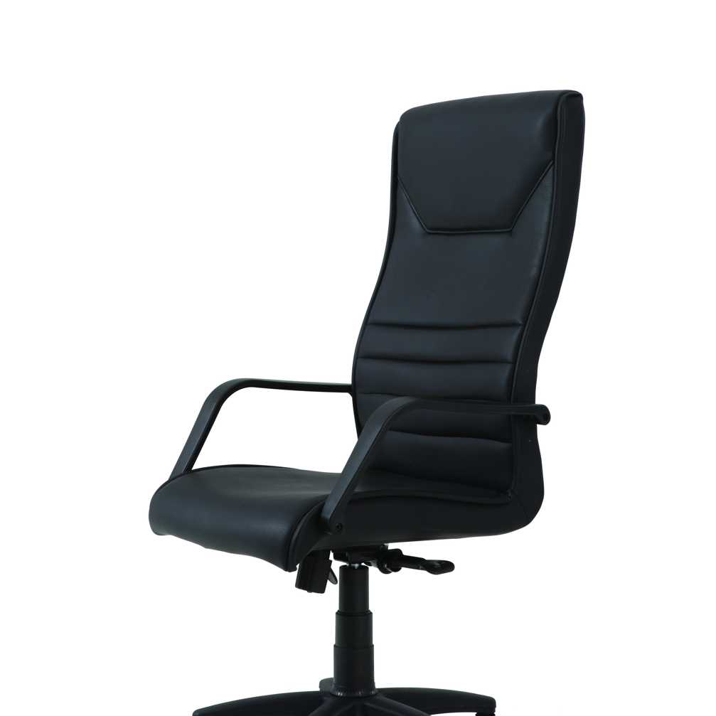 Luca 101 Executive Chair