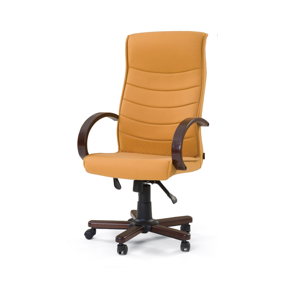 Carmen 101 Executive Chair 01