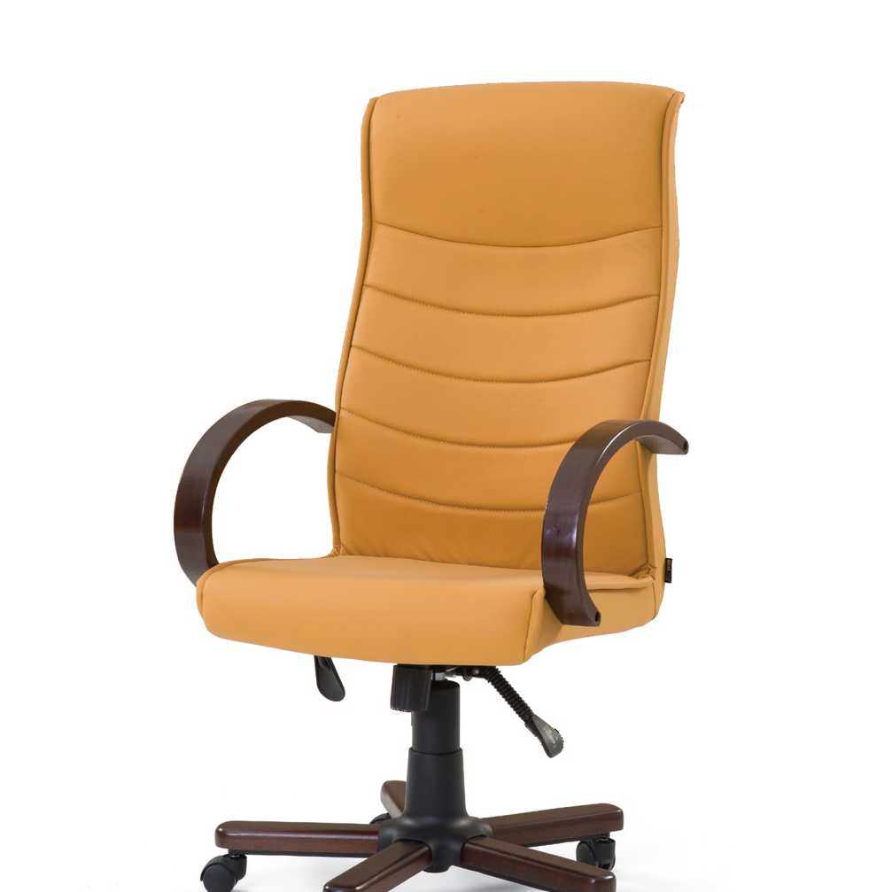 Carmen 101 Executive Chair 01