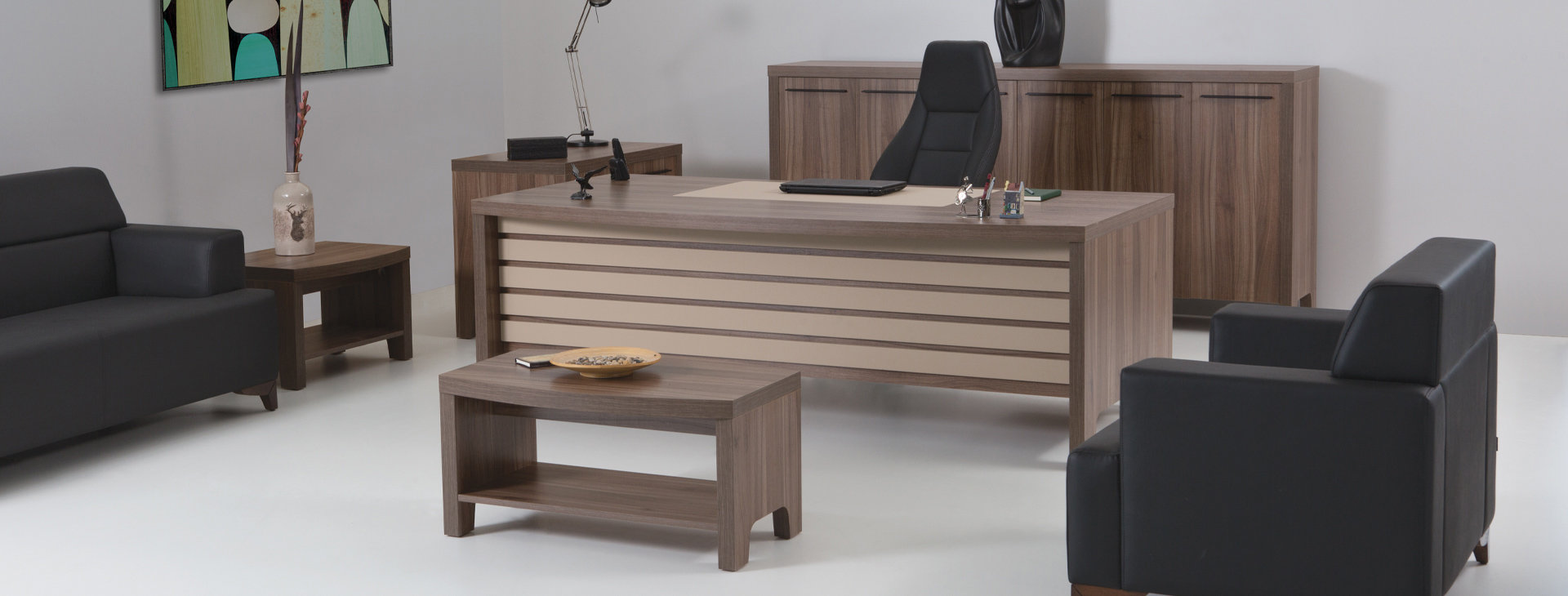 Efes Executive Desk 06