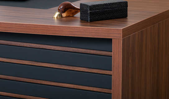 Efes Executive Desk 02